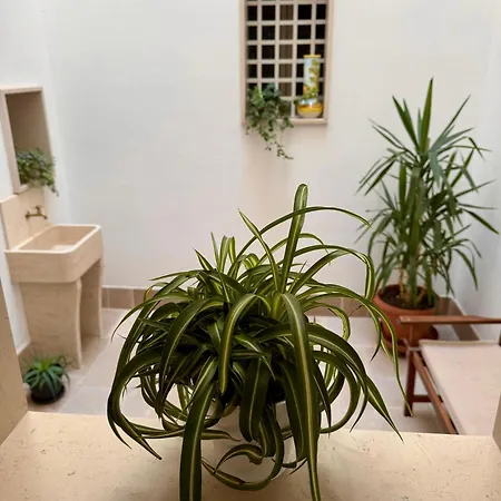 Bed & Breakfast Petra 3*